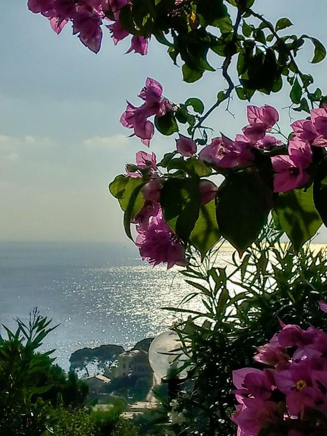 Villino Brunetto Azienda Agrituristica Camogli Exterior photo